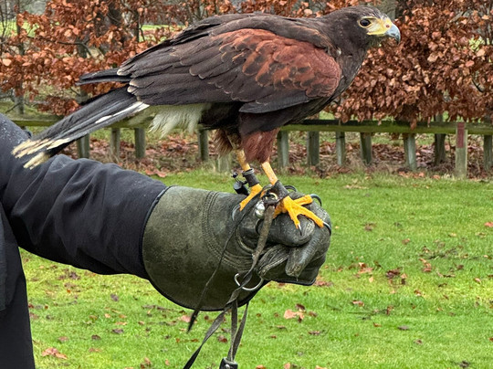 The Hawking Centre-Boughton Lees必去景点