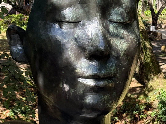 Habitation Clement-Le Francois必去景点