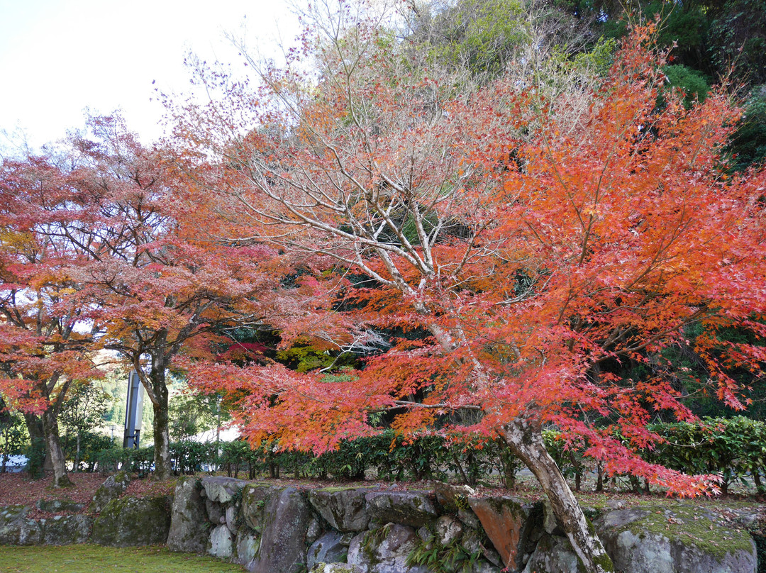 Yabakei Dam Memorial Park Keisekien-中津市必去景点