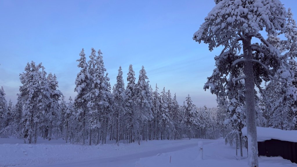 Aurora Queen Resort-官方