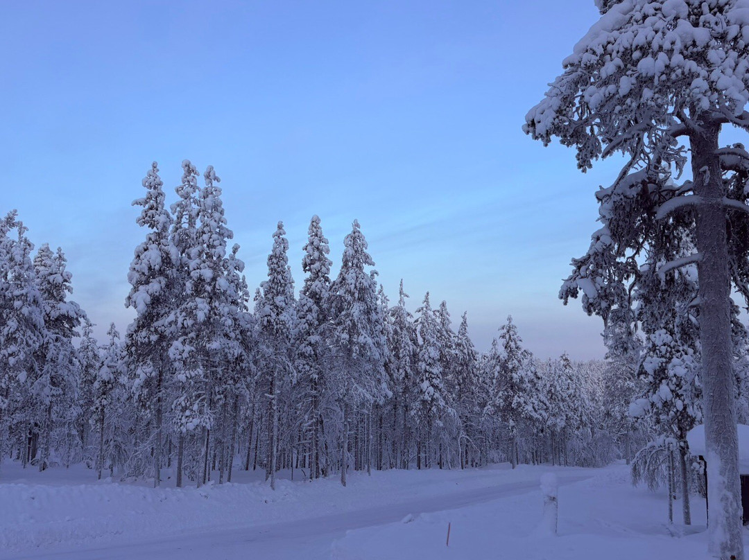 Aurora Queen Resort主图