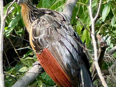 Rebecca Adventure Travel-阿约拉港必去景点