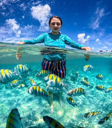 Taocas-Maragogi必去景点