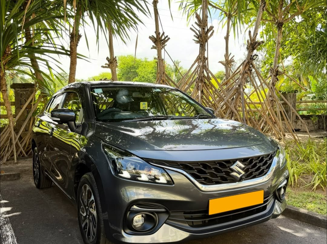 ASAS Car Rental - Mauritius-Triolet必去景点