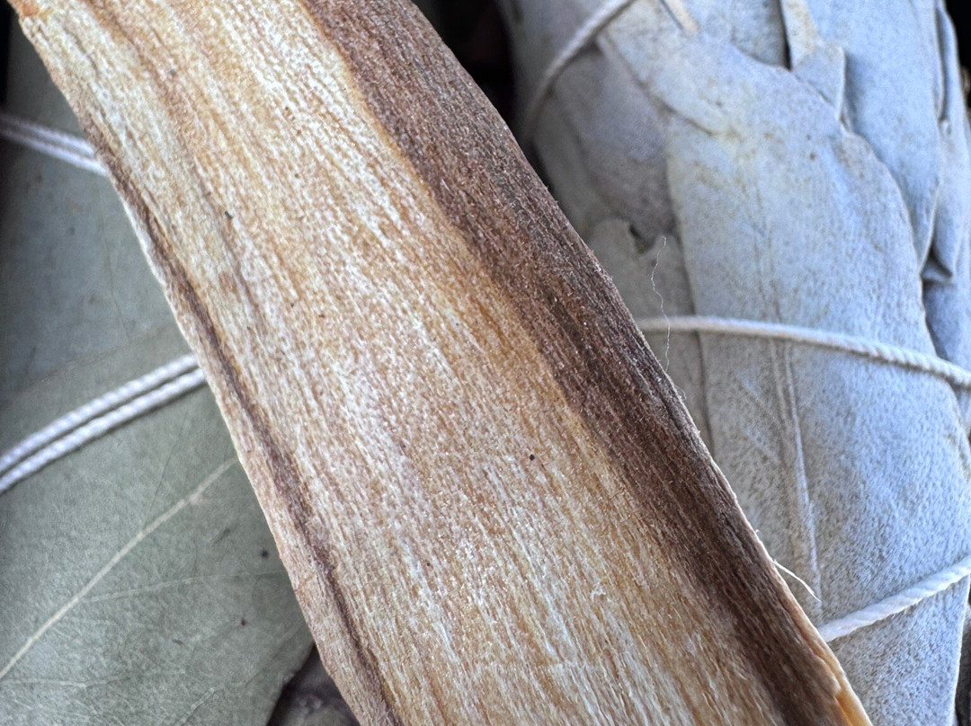 Mama's Minerals-阿尔伯克基必去景点