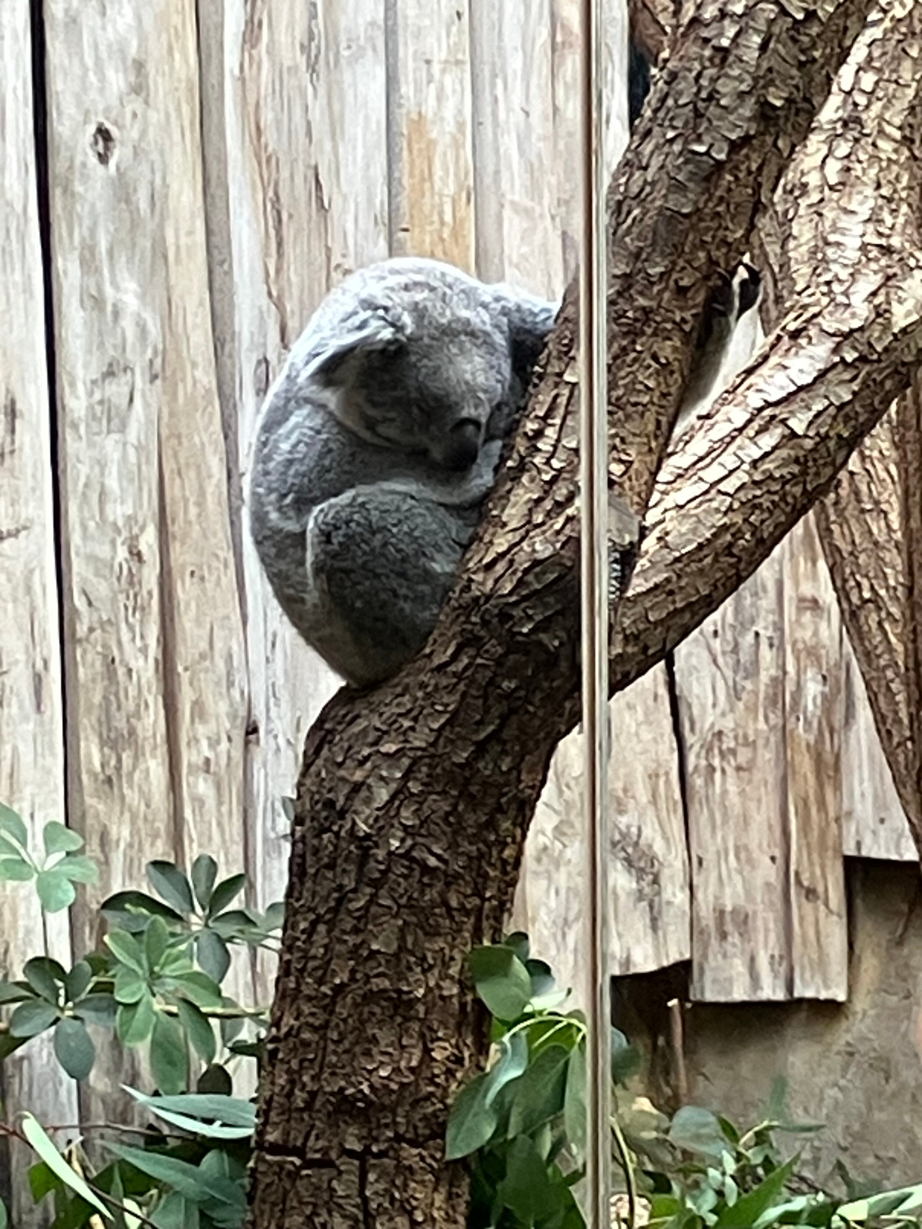 丹普木赫酒店-官方