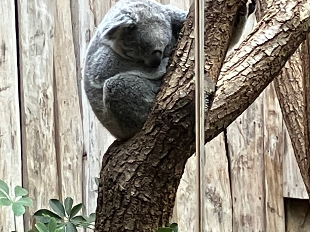 丹普木赫酒店主图