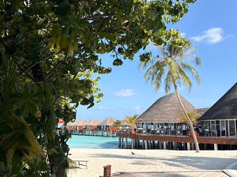 Mahlatini Luxury Travel-Rondebosch必去景点