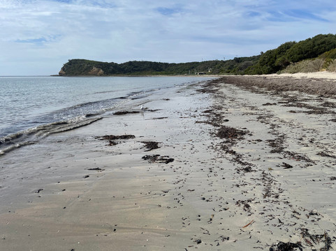 Kennon Cove Beach-弗林德斯必去景点