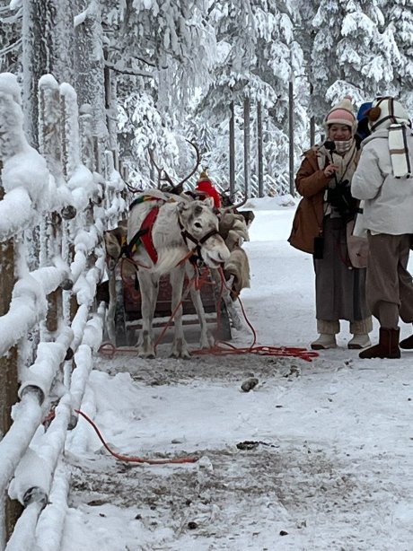 拉普兰熊之家酒店-官方