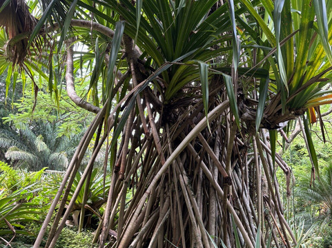 La Rinconada Ecoparque & Resort-圣克鲁斯省必去景点