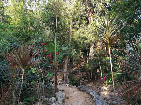 Maya Eco Village主图