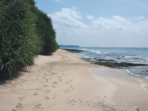 Ram Nagar Beach-Neil Island必去景点