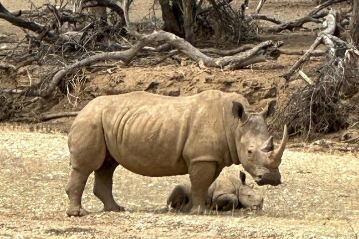 Simvula Tours and Logistics