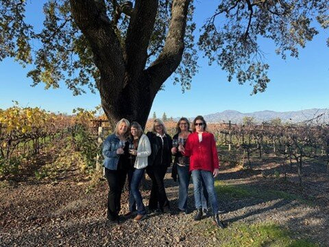 Wine Tasting Drivers-纳帕必去景点