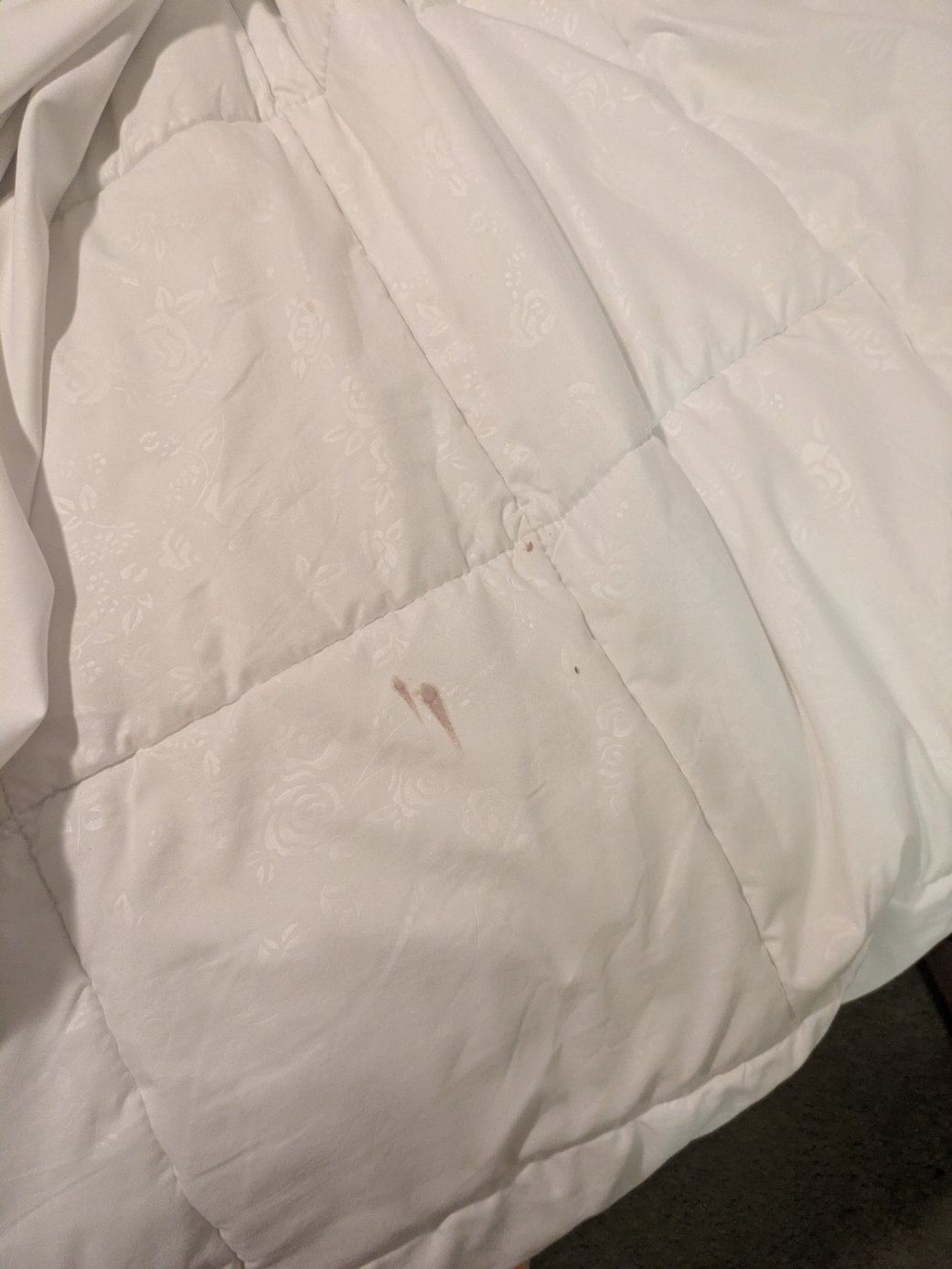 湖泊保护区公寓-官方