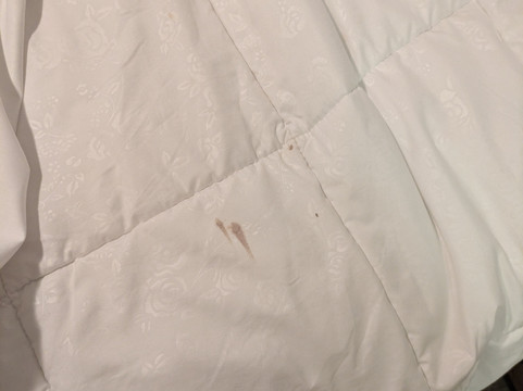 湖泊保护区公寓主图