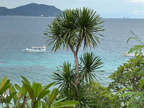 蓝色珊瑚礁海滩-曼吉斯必去景点