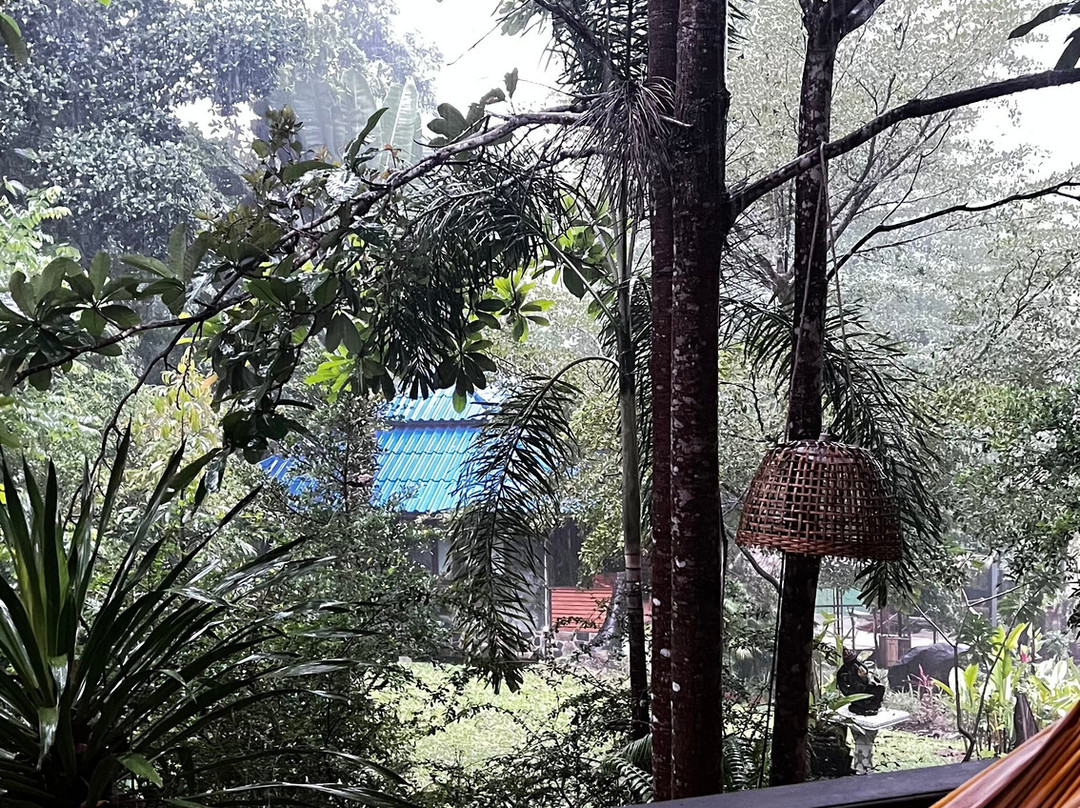 Wonderland Healing Center-帕岸岛必去景点