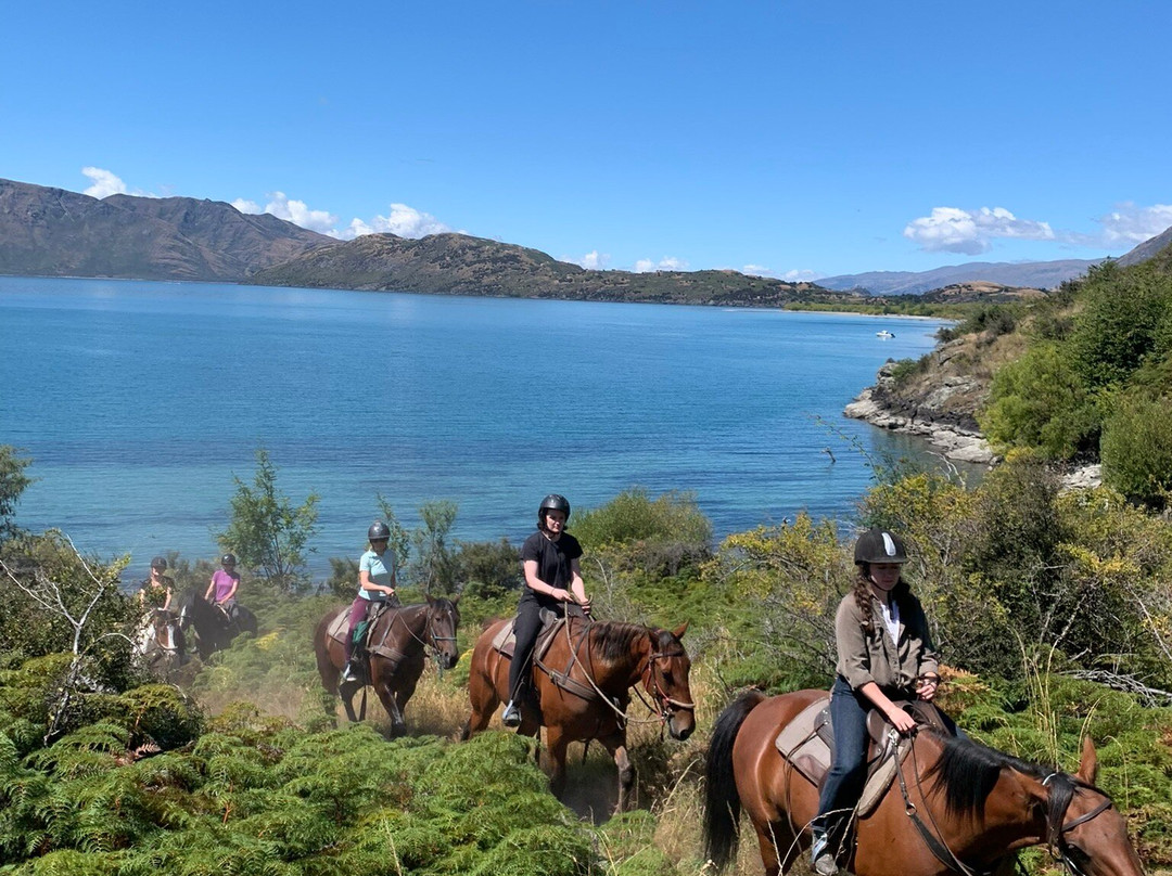 Wanaka Horse Trekking-瓦纳卡必去景点