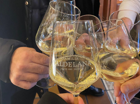 Bodegas Valdelana-Elciego必去景点