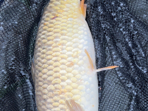 Stafford Moor Fishery-Dolton必去景点