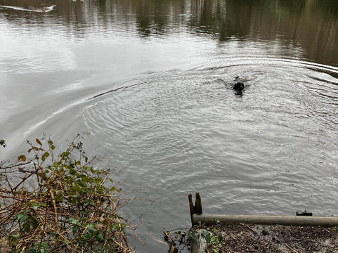 Lightwater Country Park-沃金必去景点