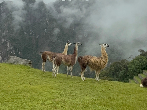 Yacana Viagens-库斯科必去景点