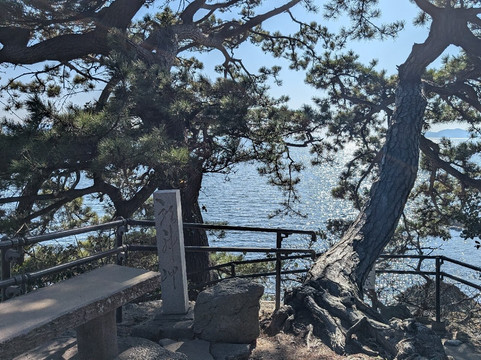 Gamagori Takeshima-蒲郡港必去景点