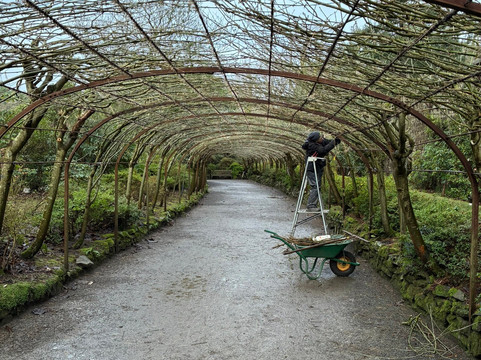 Bodnant Garden-Tal-y-Cafn必去景点