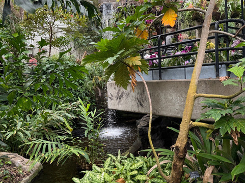 Foellinger-Freimann Botanical Conservatory-韦恩堡必去景点