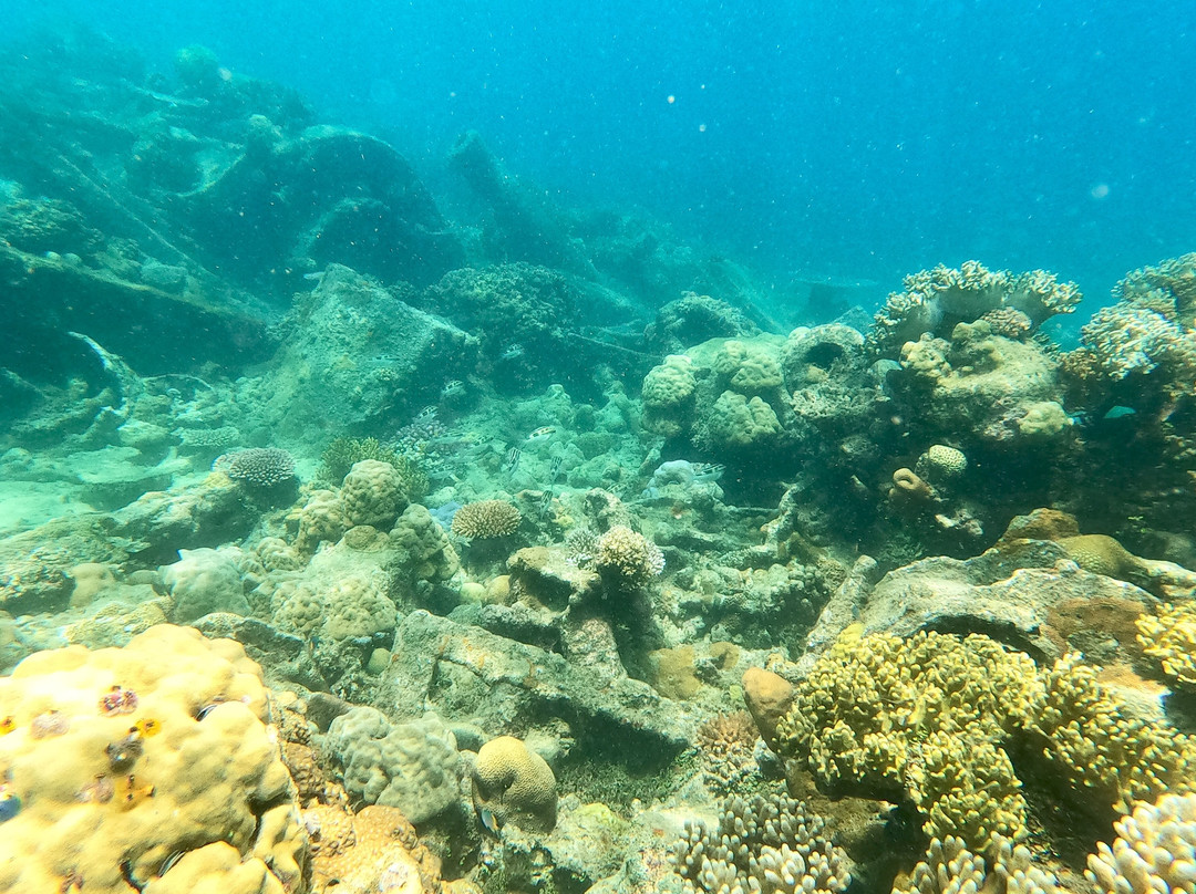 Pacific Dive-卢甘维尔必去景点