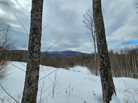Snowmobile Vermont-斯托必去景点
