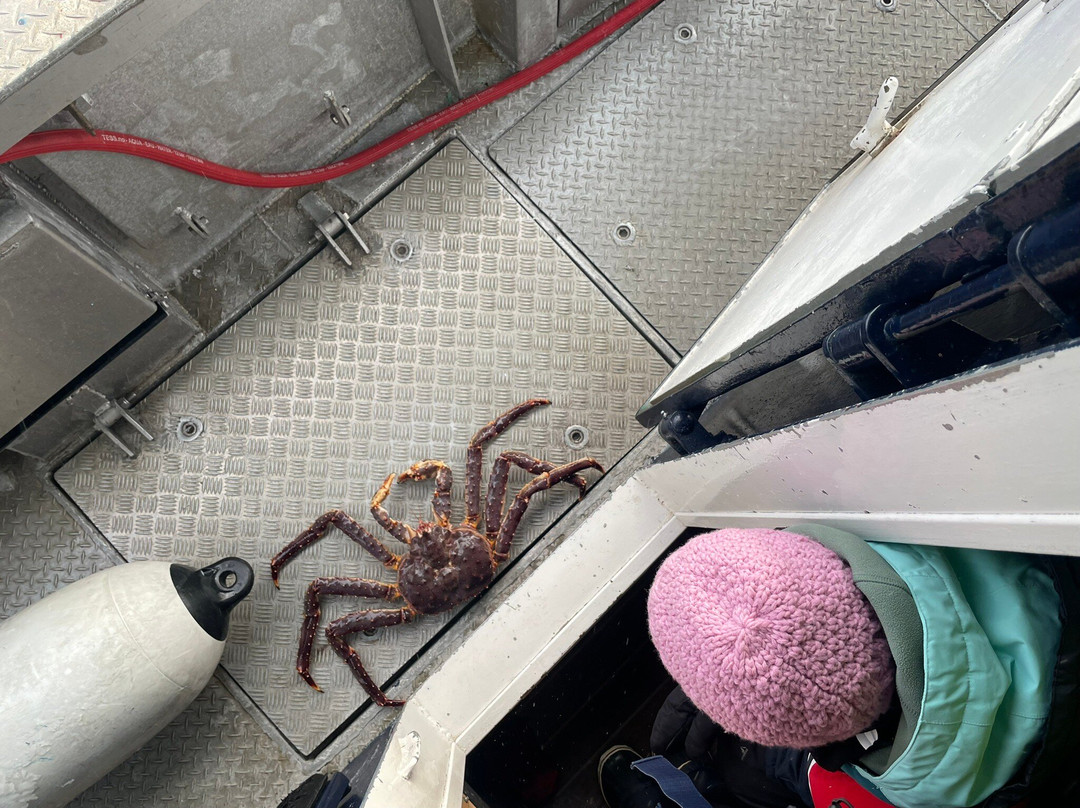 Icecube of Aurora-阿尔塔必去景点