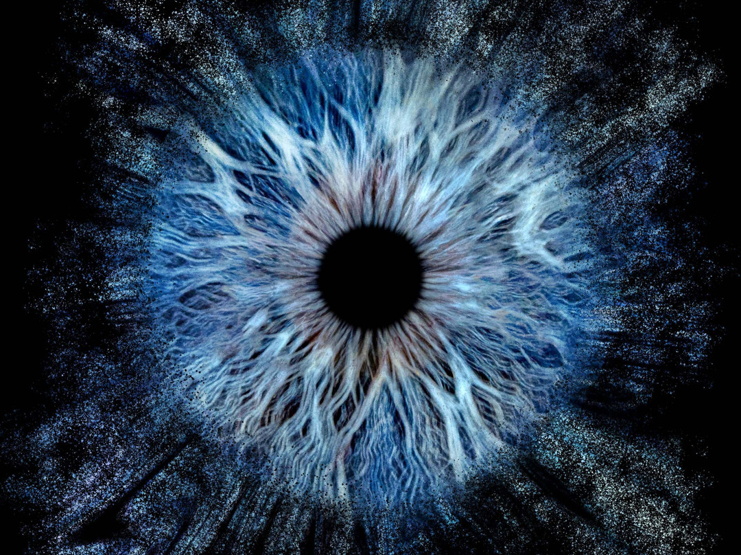 Iris Galerie Maastricht-马斯特里赫特必去景点