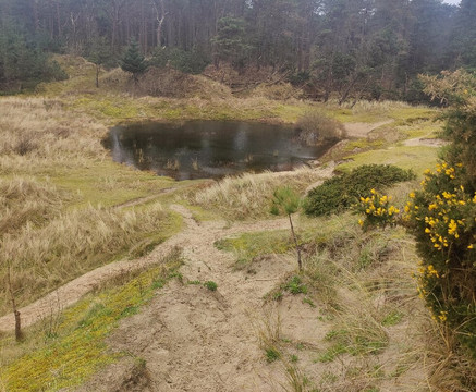 The Raven Nature Reserve-Curracloe必去景点
