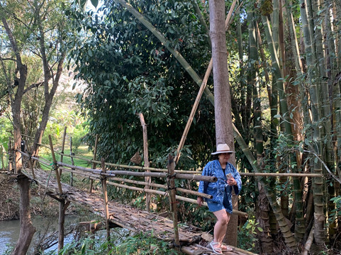 Elephant Sanctuary Care Park-清迈必去景点