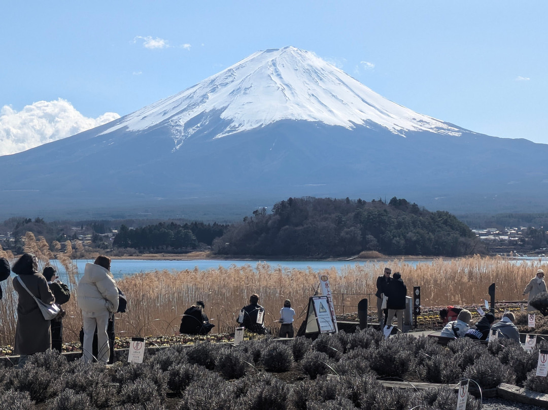 Kawaguchiko Natural Loving Centre-富士河口湖町必去景点