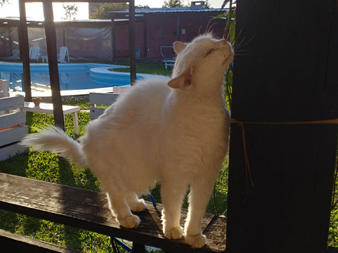 La Posada del Minero主图