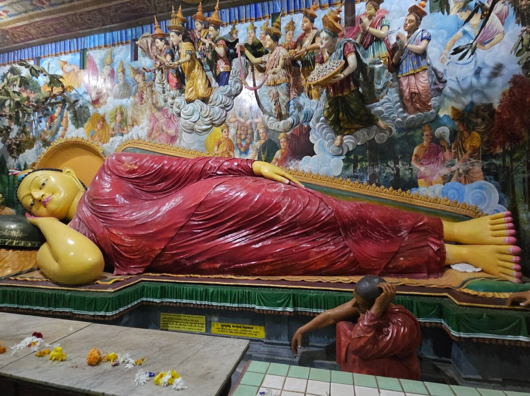 Enviro Bicycle Tours-尼甘布必去景点