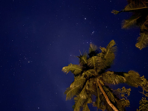 Pemba Island-奔巴岛必去景点