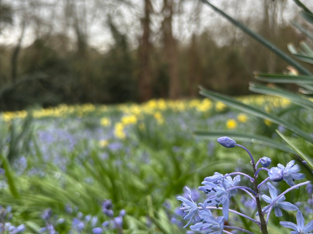 Myddelton House Gardens-恩菲尔德必去景点