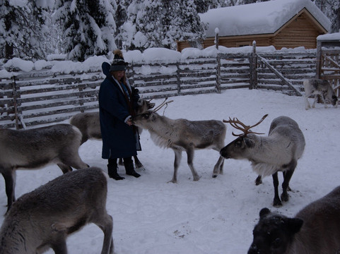 Lapland Safaris Yllas-Akaslompolo必去景点