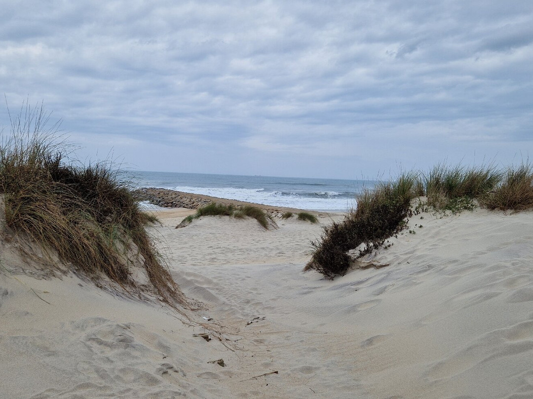 Praia da Costa Nova-Gafanha da Encarnacao必去景点