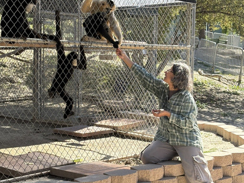 Gibbon Conservation Center-圣克拉丽塔必去景点