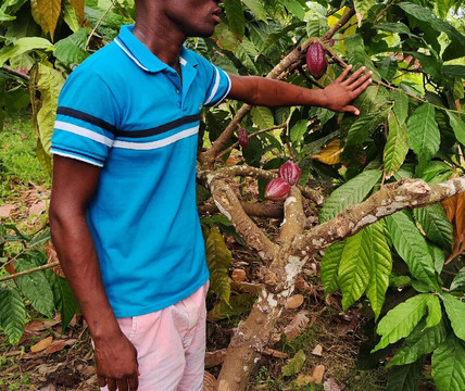 Agostinho Neto-Roca Agostinho Net必去景点