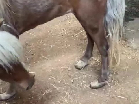 Spokane Trail Rides-斯波坎必去景点