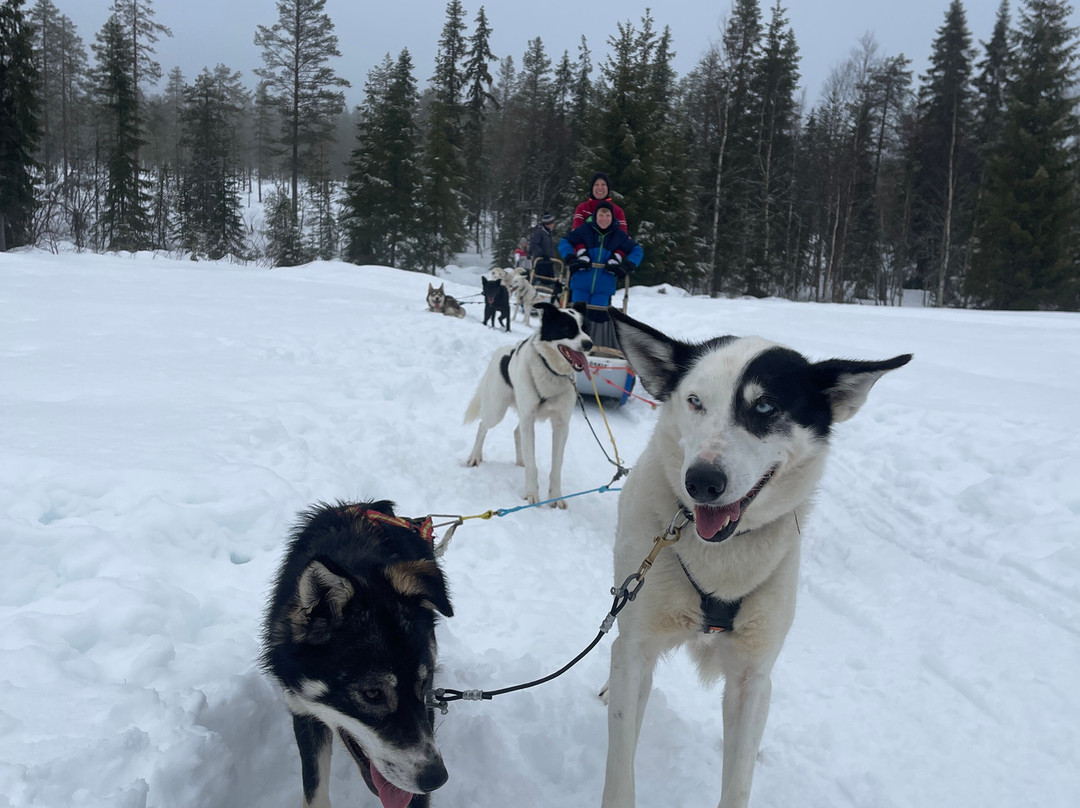 Trysil Husky-Torberget必去景点
