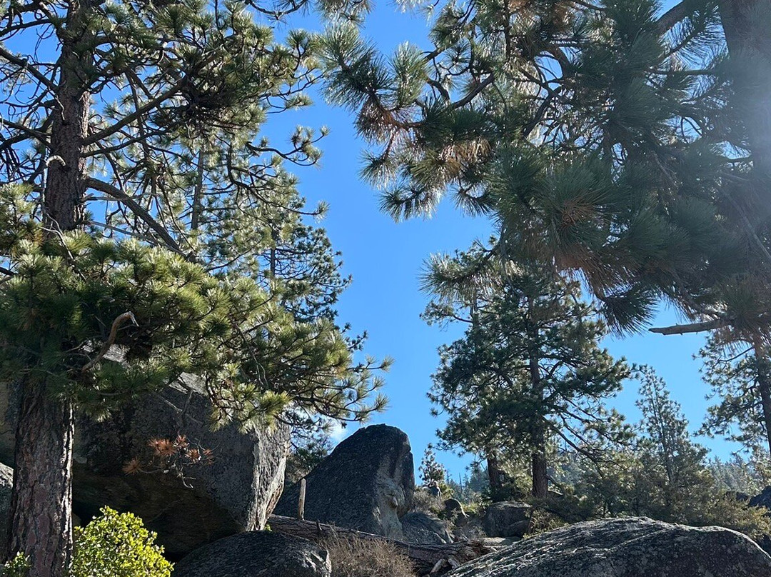 Logan Shoals Vista Trail-Zephyr Cove必去景点