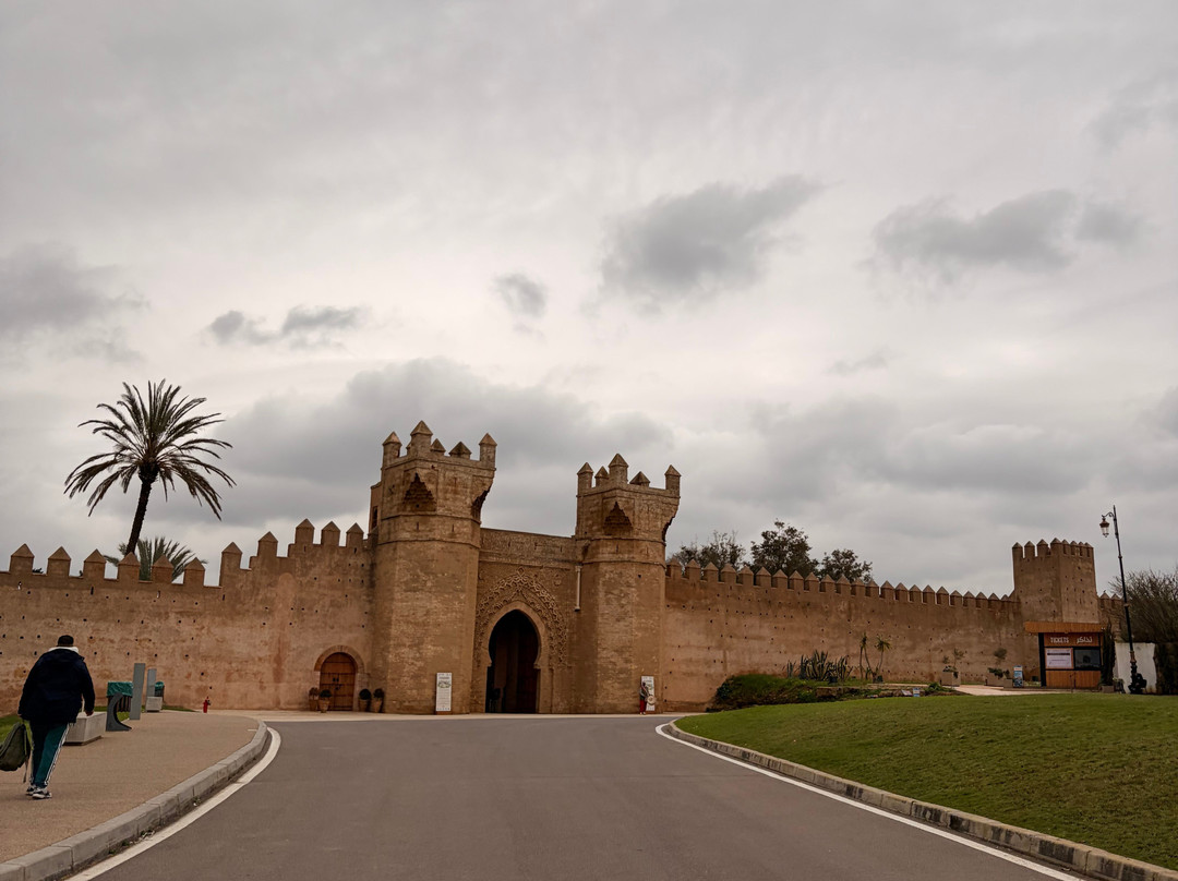 Explore Marrakech Trips-马拉喀什必去景点